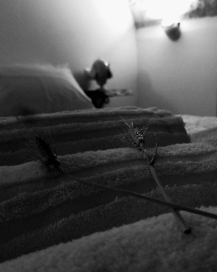 Nene' Apartment ฟาซาโน ภายนอก รูปภาพ